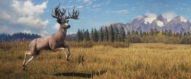 猎人:荒野的召唤/theHunter: Call of the Wild(更新v3263984)