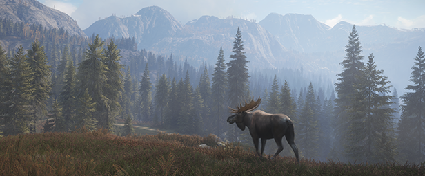 猎人:荒野的召唤/theHunter: Call of the Wild(更新v3263984)