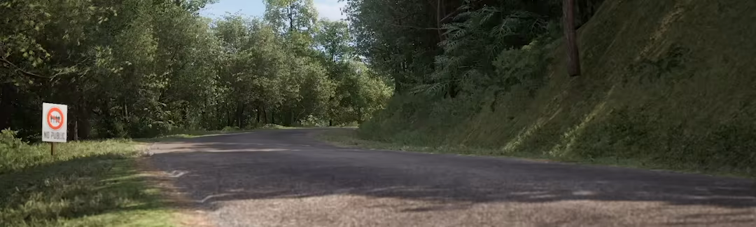 神力科莎:拉力/Assetto Corsa Rally(更新v0.5)