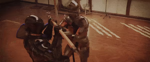 半剑/Half Sword(更新v20260131)