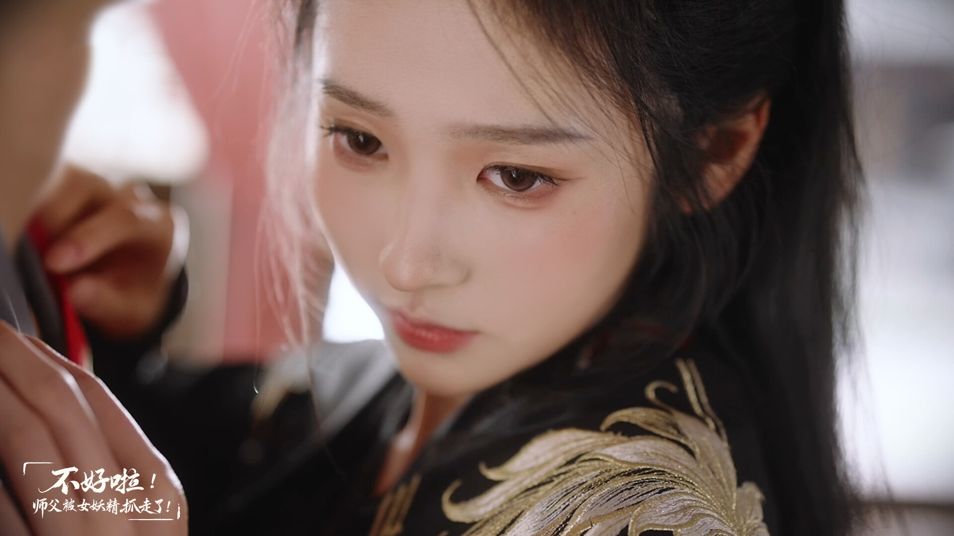 不好啦!师父被女妖精抓走了!/SIFU Kidnapped! Adventure in the Women’s Kingdom