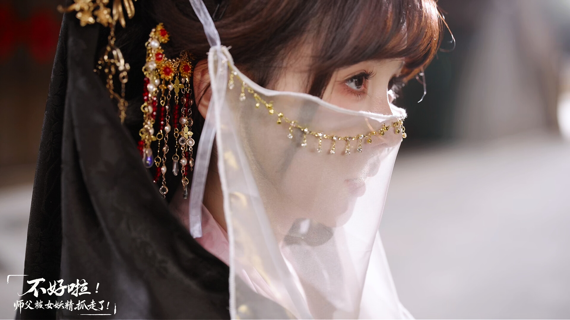 不好啦!师父被女妖精抓走了!/SIFU Kidnapped! Adventure in the Women’s Kingdom