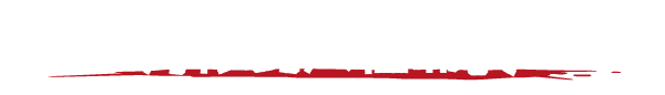 HumanitZ