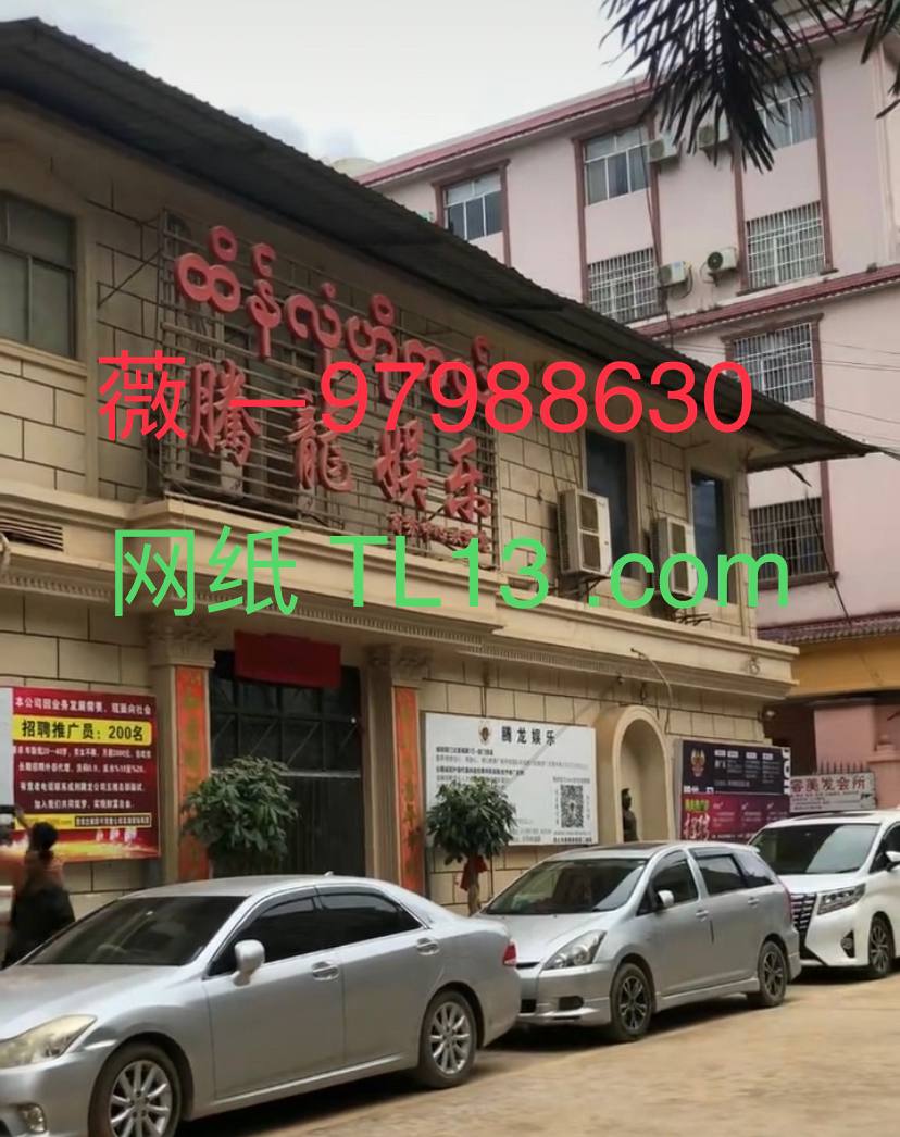 新盛公司登录游戏官方注册网址网址【T L1 3 .COM】